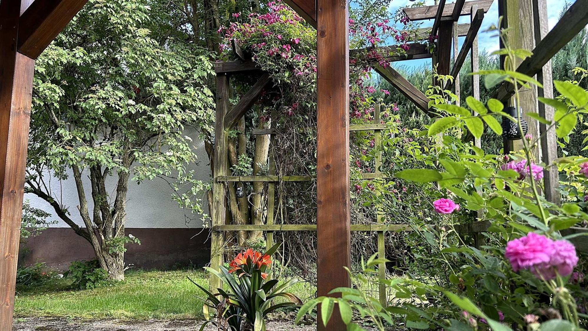 Grosszuegige Wohnung Mit Terrasse Und Gartenzugang - Das Komplette Erdgeschoss Біндлах Екстер'єр фото